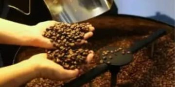 Café hoje: confira cotações para esta quarta-feira (10) Café hoje: confira cotações para esta quarta-feira (10)