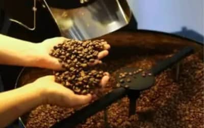 Café hoje: confira cotações para esta quarta-feira (10) Café hoje: confira cotações para esta quarta-feira (10)