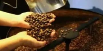 Café hoje: confira cotações para esta quinta-feira (11) Café hoje: confira cotações para esta quinta-feira (11)