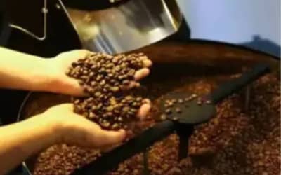 Café hoje: confira cotações para esta quinta-feira (11) Café hoje: confira cotações para esta quinta-feira (11)