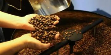 Café hoje: confira cotações para esta segunda (1º)