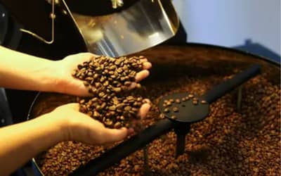 Café hoje: confira cotações para esta segunda (1º) Café hoje: confira cotações para esta segunda (1º)