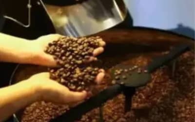 Café hoje: confira cotações para esta sexta-feira (12) Café hoje: confira cotações para esta sexta-feira (12)