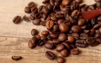 Café hoje: confira cotações para esta sexta-feira (19) Café hoje: confira cotações para esta sexta-feira (19)
