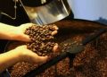 Café hoje: confira cotações para esta sexta (5)