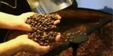 Café hoje: confira cotações para esta terça-feira (16) Café hoje: confira cotações para esta terça-feira (16)