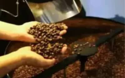 Café hoje: confira cotações para esta terça-feira (16) Café hoje: confira cotações para esta terça-feira (16)