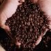 Café hoje: confira cotações para esta terça-feira (30)