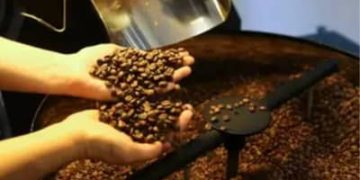 Café hoje: confira cotações para esta terça-feira (9) Café hoje: confira cotações para esta terça-feira (9)