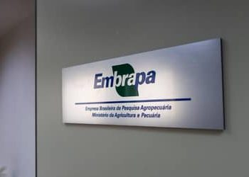 Embrapa inaugura escritório em São Paulo (SP) e firma parceria com Grupo Carrefour Brasil Embrapa inaugura escritório em São Paulo (SP) e firma parceria com Grupo Carrefour Brasil