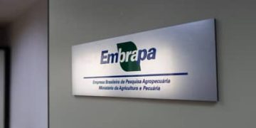 Embrapa inaugura escritório em São Paulo (SP) e firma parceria com Grupo Carrefour Brasil Embrapa inaugura escritório em São Paulo (SP) e firma parceria com Grupo Carrefour Brasil