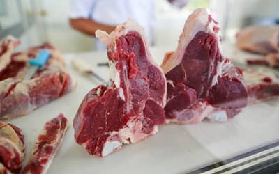 Federação paranaense cobra ‘celeridade máxima’ para evitar embargo da UE às carnes brasileiras Federação paranaense cobra ‘celeridade máxima’ para evitar embargo da UE às carnes brasileiras