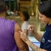 InfoGripe: Influenza impulsiona alta dos casos graves de doenças respiratórias entre jovens, adultos e idosos InfoGripe: Influenza impulsiona alta dos casos graves de doenças respiratórias entre jovens, adultos e idosos