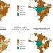 InfoGripe: VSR, influenza e rinovírus elevam casos de síndrome respiratória grave no país InfoGripe: VSR, influenza e rinovírus elevam casos de síndrome respiratória grave no país
