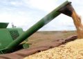 Agronegócio responde por 45,7% das exportações brasileiras e cresce 14% em junho
