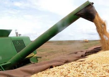 Agronegócio responde por 45,7% das exportações brasileiras e cresce 14% em junho Agronegócio responde por 45,7% das exportações brasileiras e cresce 14% em junho