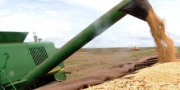 Agronegócio responde por 45,7% das exportações brasileiras e cresce 14% em junho
