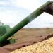 Agronegócio responde por 45,7% das exportações brasileiras e cresce 14% em junho