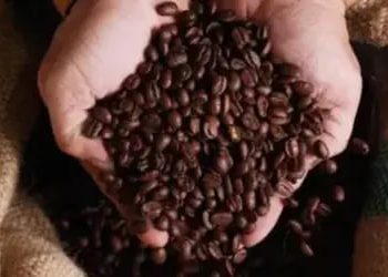 Café hoje: confira cotações para esta sexta-feira (3) Café hoje: confira cotações para esta sexta-feira (3)