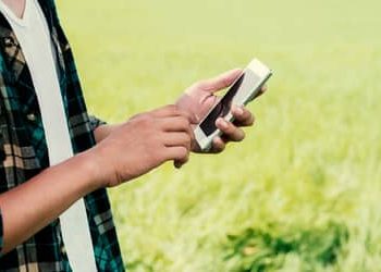 Expansão do 4G no campo: Piauí soma mais de 50 localidades conectadas Expansão do 4G no campo: Piauí soma mais de 50 localidades conectadas