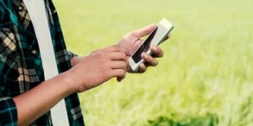 Expansão do 4G no campo: Piauí soma mais de 50 localidades conectadas