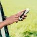 Expansão do 4G no campo: Piauí soma mais de 50 localidades conectadas Expansão do 4G no campo: Piauí soma mais de 50 localidades conectadas