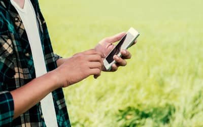 Expansão do 4G no campo: Piauí soma mais de 50 localidades conectadas Expansão do 4G no campo: Piauí soma mais de 50 localidades conectadas