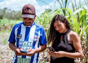 Expansão do 4G no campo: Rio Grande do Norte soma mais de 170 localidades conectadas Expansão do 4G no campo: Rio Grande do Norte soma mais de 170 localidades conectadas