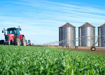 ACSP fortalece aproximação de pequenos negócios das oportunidades geradas pelo agronegócio ACSP fortalece aproximação de pequenos negócios das oportunidades geradas pelo agronegócio