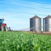 ACSP fortalece aproximação de pequenos negócios das oportunidades geradas pelo agronegócio ACSP fortalece aproximação de pequenos negócios das oportunidades geradas pelo agronegócio