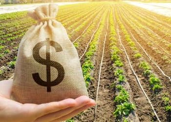 Agro inicia safra 2026/27 com R$ 580,78 bilhões em CPRs