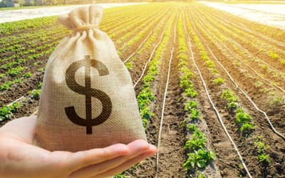 Agro inicia safra 2026/27 com R$ 580,78 bilhões em CPRs Agro inicia safra 2026/27 com R$ 580,78 bilhões em CPRs