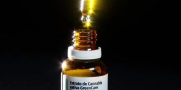 Autorizações para importação de cannabis medicinal aumentam 29% em 2026