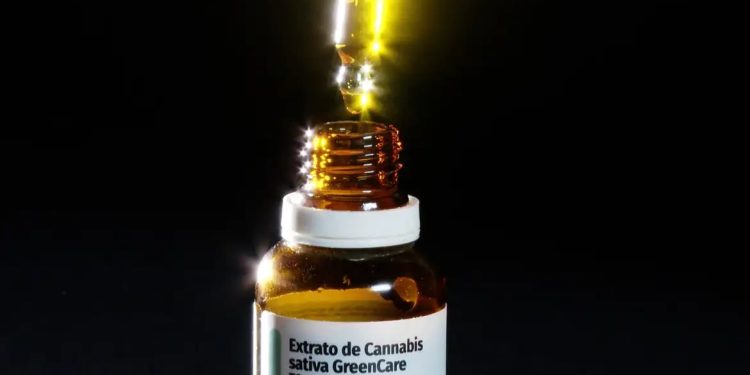 Autorizações para importação de cannabis medicinal aumentam 29% em 2026