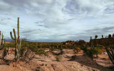 Brasil apresenta na COP17 ações de combate à desertificação e recuperação de áreas degradadas Brasil apresenta na COP17 ações de combate à desertificação e recuperação de áreas degradadas