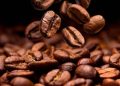 Café hoje: confira cotações para esta segunda-feira (10)