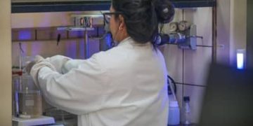 Inova Talentos oferece 312 bolsas de até R$ 12 mil para pesquisadores