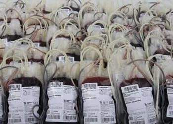 Mar Vermelho? Novas regras para doadores de sangue exigem adaptações de municípios Mar Vermelho? Novas regras para doadores de sangue exigem adaptações de municípios