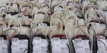 Mar Vermelho? Novas regras para doadores de sangue exigem adaptações de municípios Mar Vermelho? Novas regras para doadores de sangue exigem adaptações de municípios