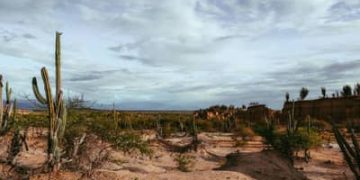 Mudanças climáticas podem levar Brasil a ter 12 dias de racionamento de água por ano até 2050