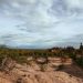 Mudanças climáticas podem levar Brasil a ter 12 dias de racionamento de água por ano até 2050 Mudanças climáticas podem levar Brasil a ter 12 dias de racionamento de água por ano até 2050
