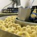 Indústria de ovos: incubatório na Região Sul do país mata em um dia 35 mil pintinhos machos, revela organização