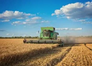PAM 2025: produção agrícola dos municípios bate recorde de R$ 927,2 bilhões; confira ranking das cidades PAM 2025: produção agrícola dos municípios bate recorde de R$ 927,2 bilhões; confira ranking das cidades