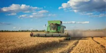 PAM 2025: produção agrícola dos municípios bate recorde de R$ 927,2 bilhões; confira ranking das cidades