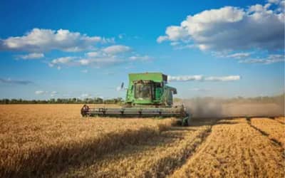 PAM 2025: produção agrícola dos municípios bate recorde de R$ 927,2 bilhões; confira ranking das cidades PAM 2025: produção agrícola dos municípios bate recorde de R$ 927,2 bilhões; confira ranking das cidades