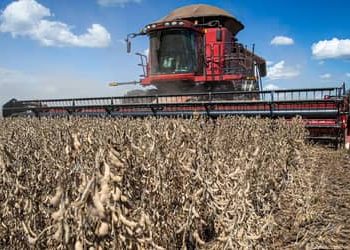Recuperações judiciais no agro brasileiro sobem 56% e secretário de São Paulo cobra previsibilidade para o setor Recuperações judiciais no agro brasileiro sobem 56% e secretário de São Paulo cobra previsibilidade para o setor