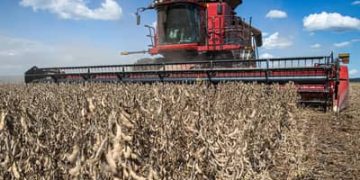 Recuperações judiciais no agro brasileiro sobem 56% e secretário de São Paulo cobra previsibilidade para o setor Recuperações judiciais no agro brasileiro sobem 56% e secretário de São Paulo cobra previsibilidade para o setor