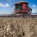 Recuperações judiciais no agro brasileiro sobem 56% e secretário de São Paulo cobra previsibilidade para o setor Recuperações judiciais no agro brasileiro sobem 56% e secretário de São Paulo cobra previsibilidade para o setor