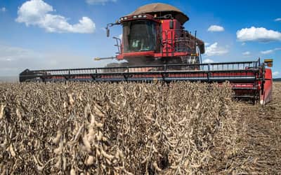 Recuperações judiciais no agro brasileiro sobem 56% e secretário de São Paulo cobra previsibilidade para o setor Recuperações judiciais no agro brasileiro sobem 56% e secretário de São Paulo cobra previsibilidade para o setor