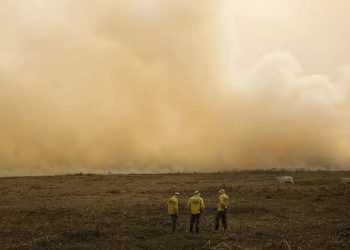El Niño: Embrapa recomenda medidas para conservar a água e reduzir os efeitos do estresse hídrico e térmico, no Sudeste